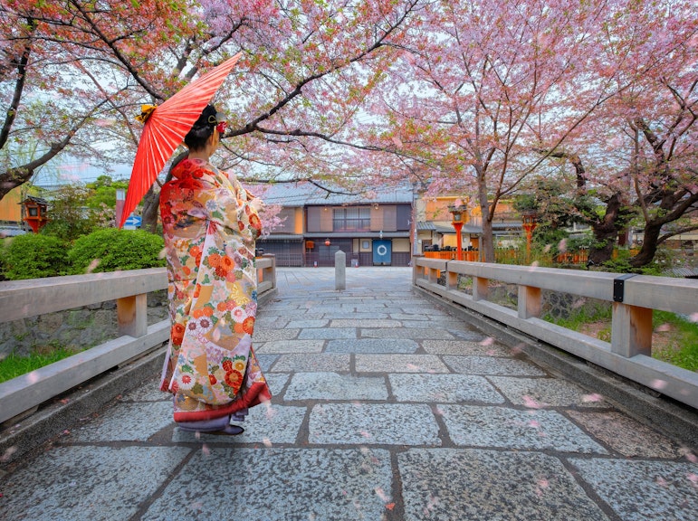 祇園を探訪し、芸者の芸術を発見してください