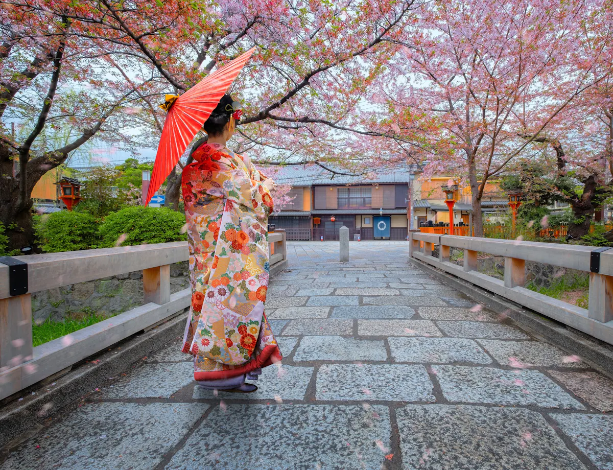Tatsumi Bridge A woman in a colorful kimono holds a red umbrella while standing on a stone bridge lined with cherry blossom trees in full bloom, with traditional Japanese buildings in the background.