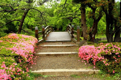 Beatiful Hamarikyu Gardens in Tokyo