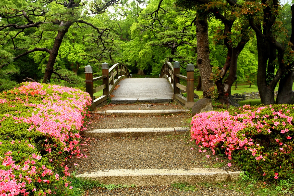 Beatiful Hamarikyu Gardens in Tokyo