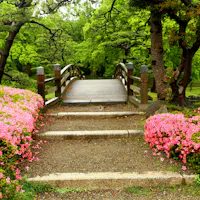 Beatiful Hamarikyu Gardens in Tokyo Beatiful Hamarikyu Gardens in Tokyo