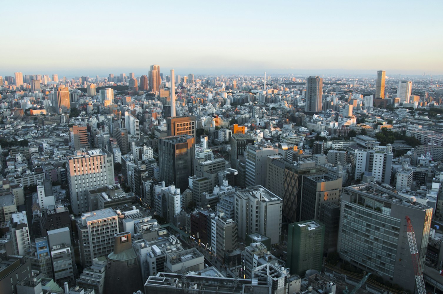 View of Shibuya Skyline