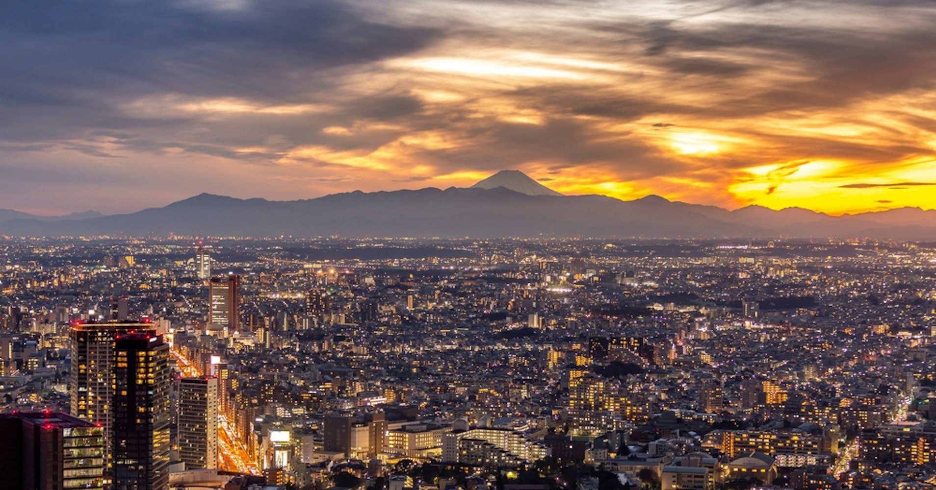 Shibuya Sky The Best View of Tokyo from Above Trip To Japan