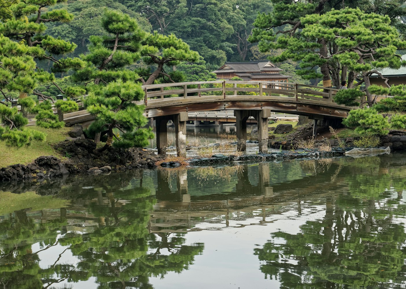 Hamarikyu Japanese Garden