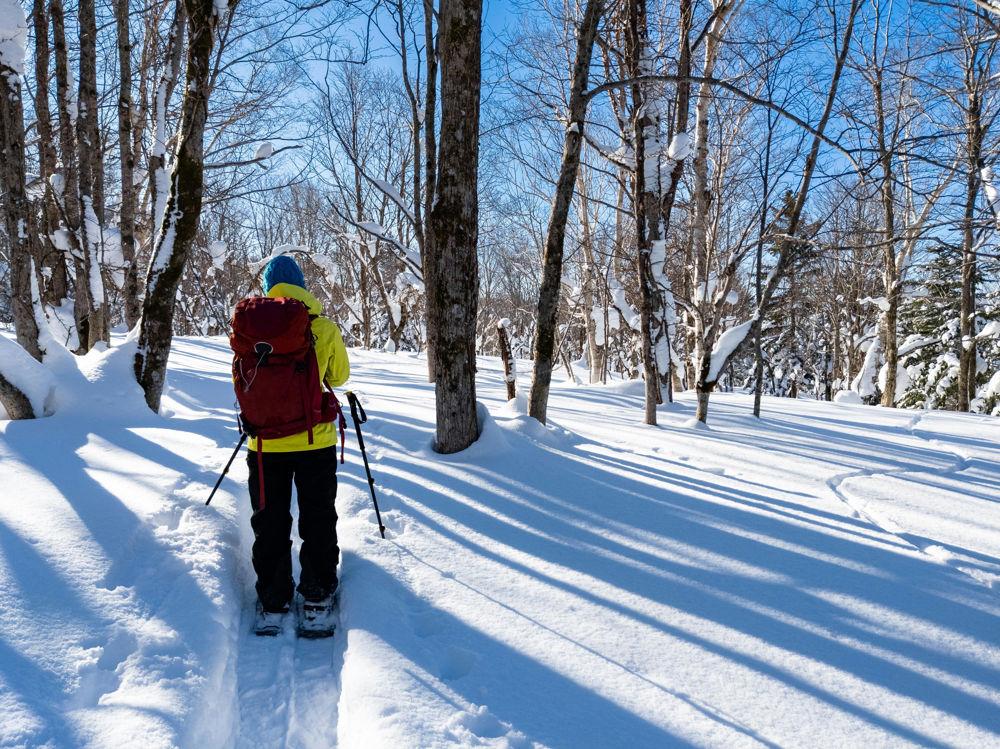 Snowshoeing