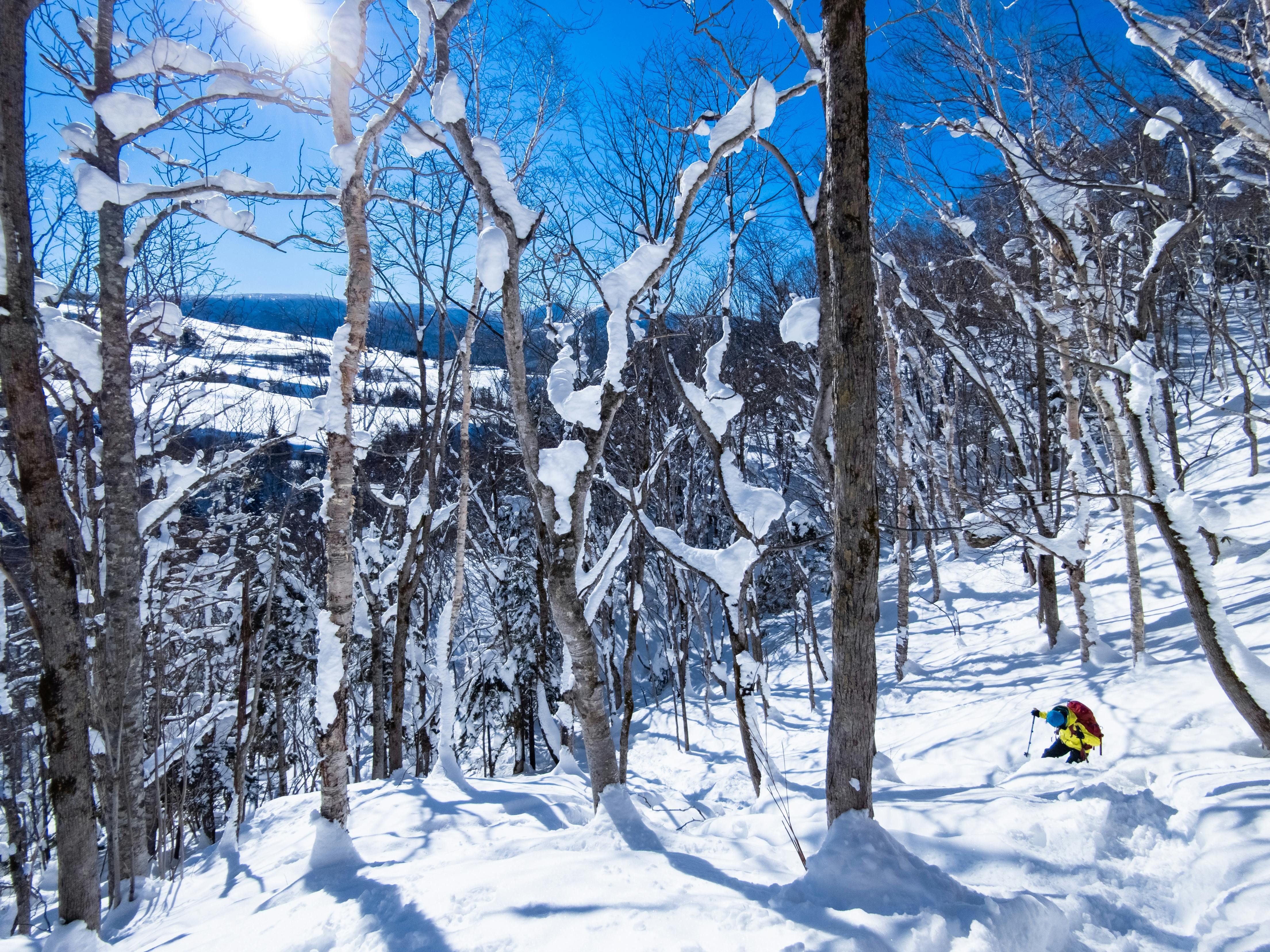 Snowshoeing