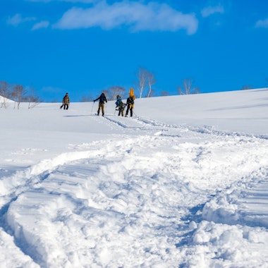 Snowshoeing Five people walk up a snowy hill, leaving tracks behind them in the fresh snow under a bright blue sky with scattered clouds. Sparse trees are visible in the background.