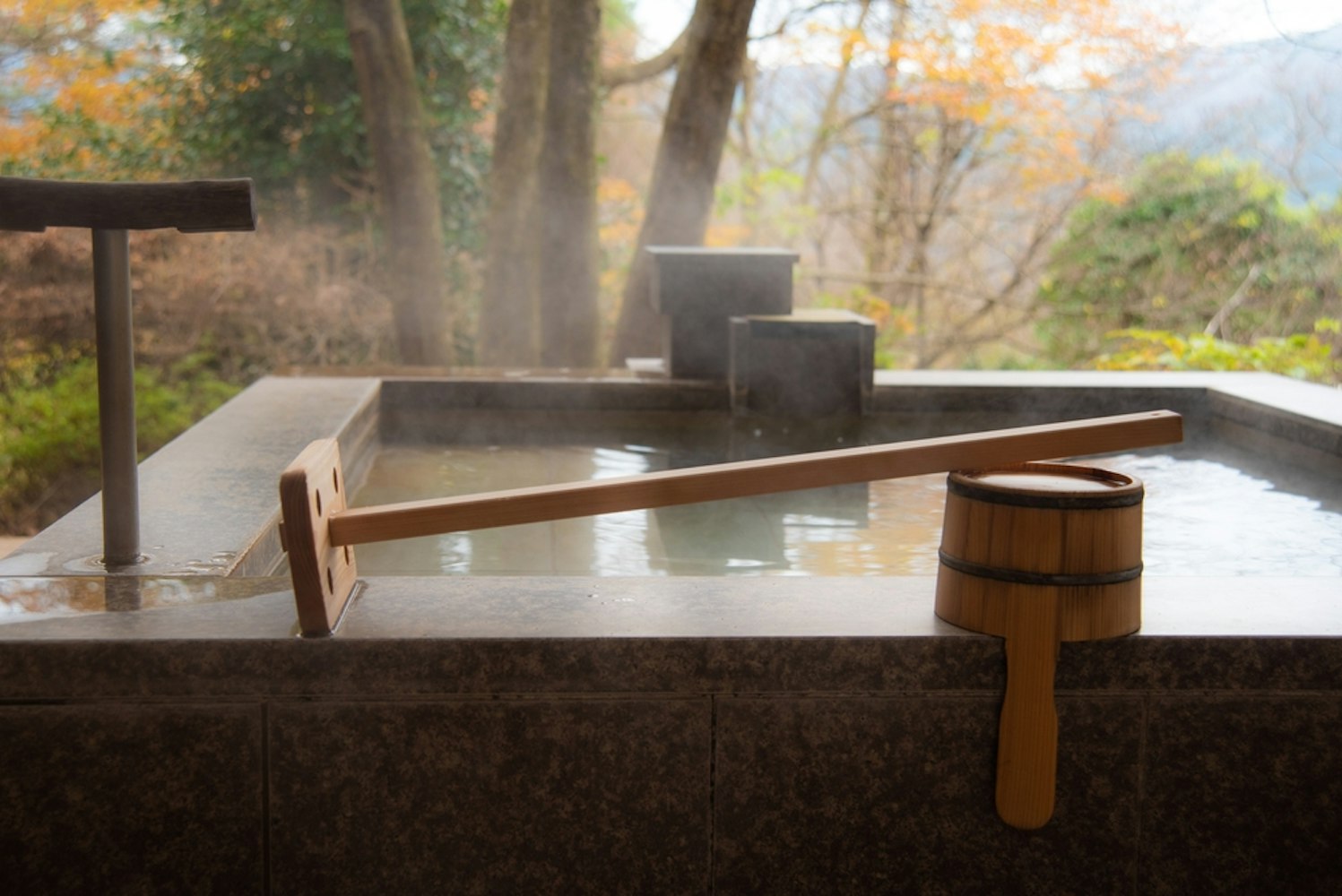 Natural Springs in Hakone
