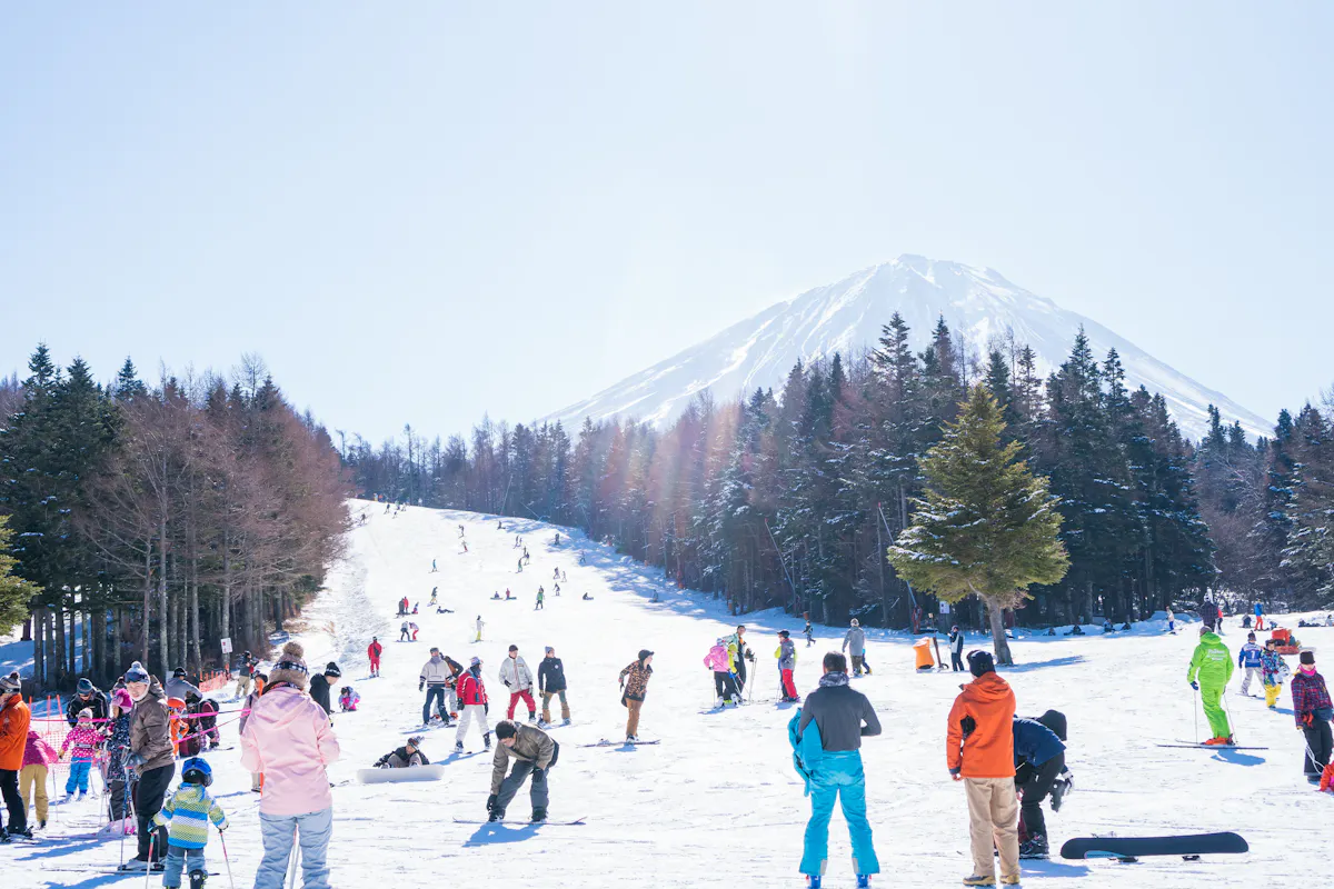 Landscape in Winter Time at Fujiten Ski Resort A snowy ski resort with numerous people skiing, snowboarding, and interacting. The clear blue sky and a majestic mountain, partially covered with snow, rise in the background, while tall evergreen trees border the scene on both sides.