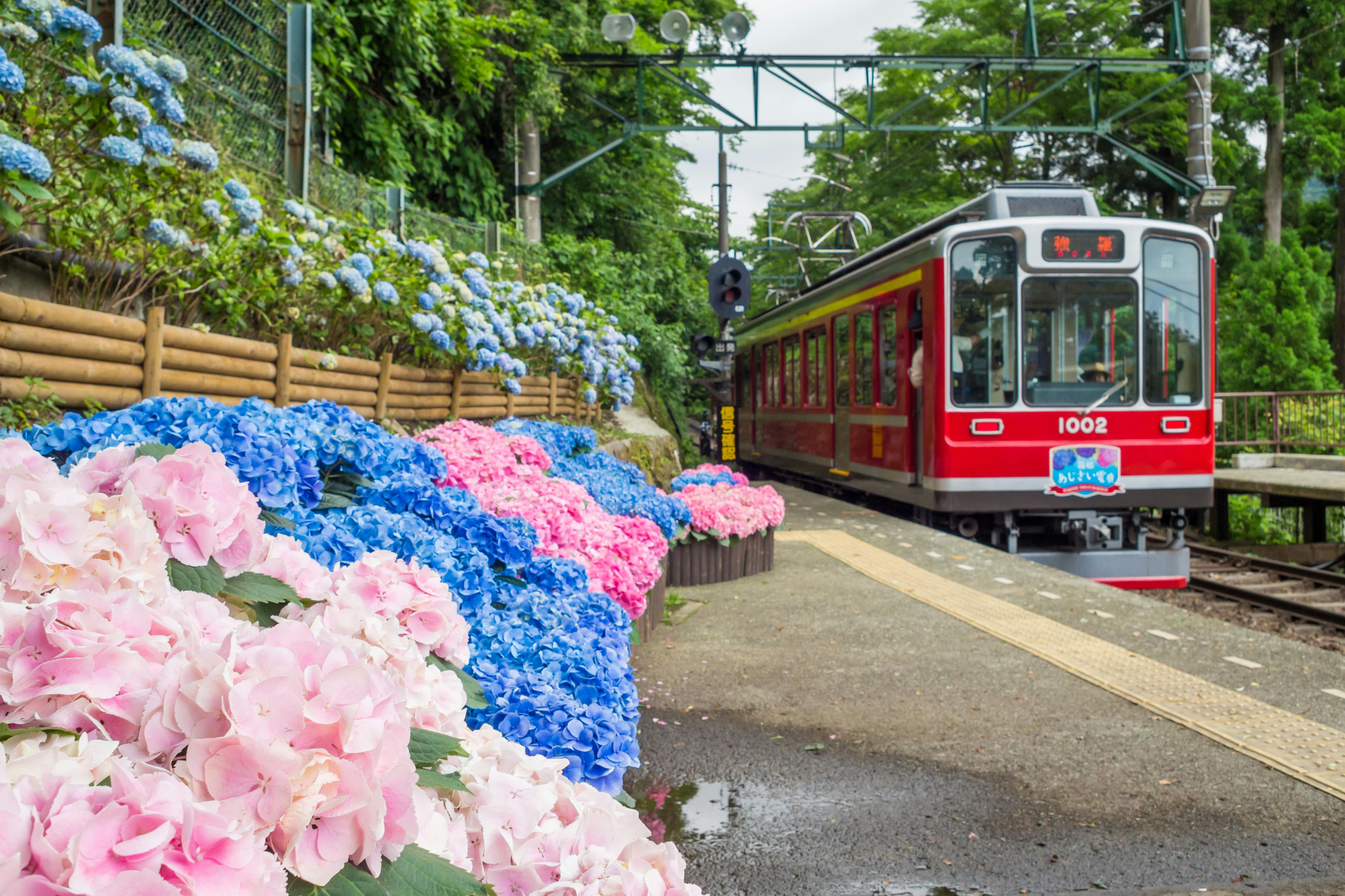 Hakone Railway