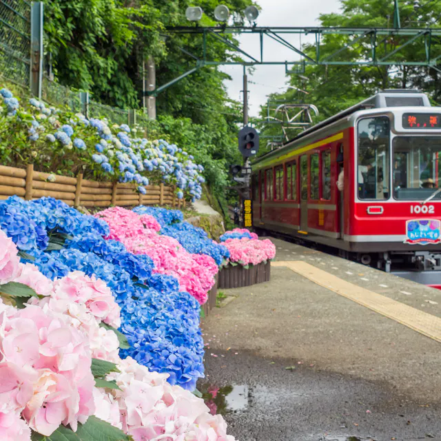 Hakone Railway Hakone Railway