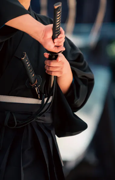 Samurai Samurai