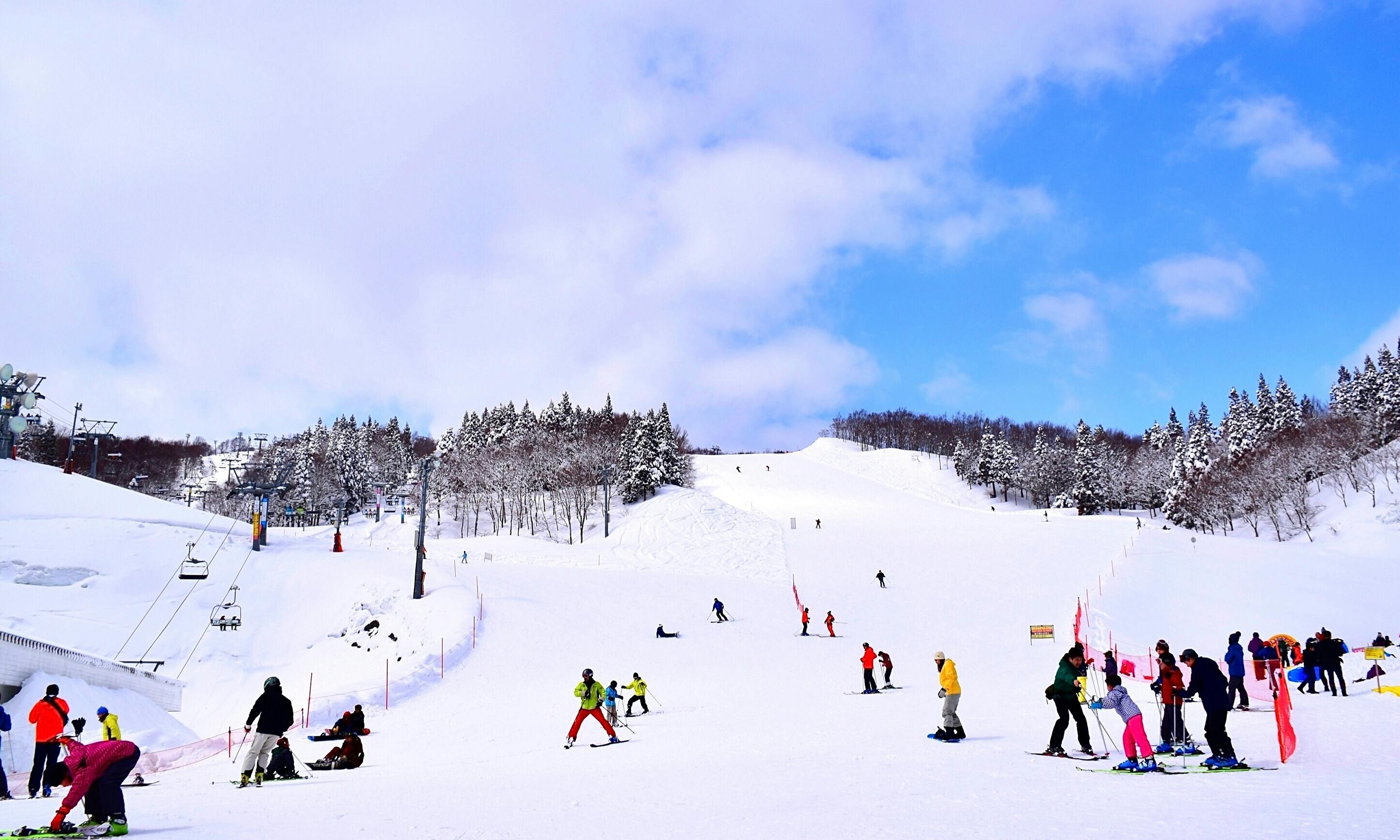 People skiing and snowboarding on a snowy slope under a blue sky, with trees covered in snow in the background and groups of people gathered at the base of the hill.