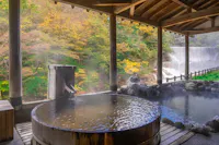 Japanese Hot Springs