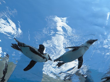 Sunshine Aquarium