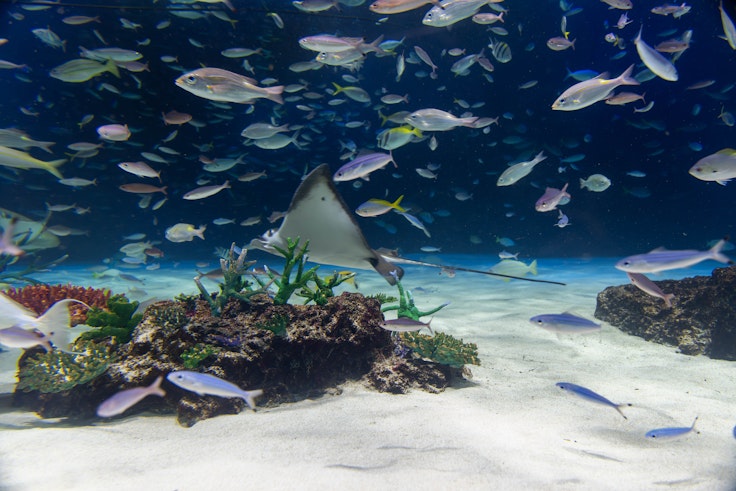 Sunshine Aquarium