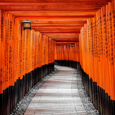 Red Torii Gates in Fushimi Inari Shrine Red Torii Gates in Fushimi Inari Shrine