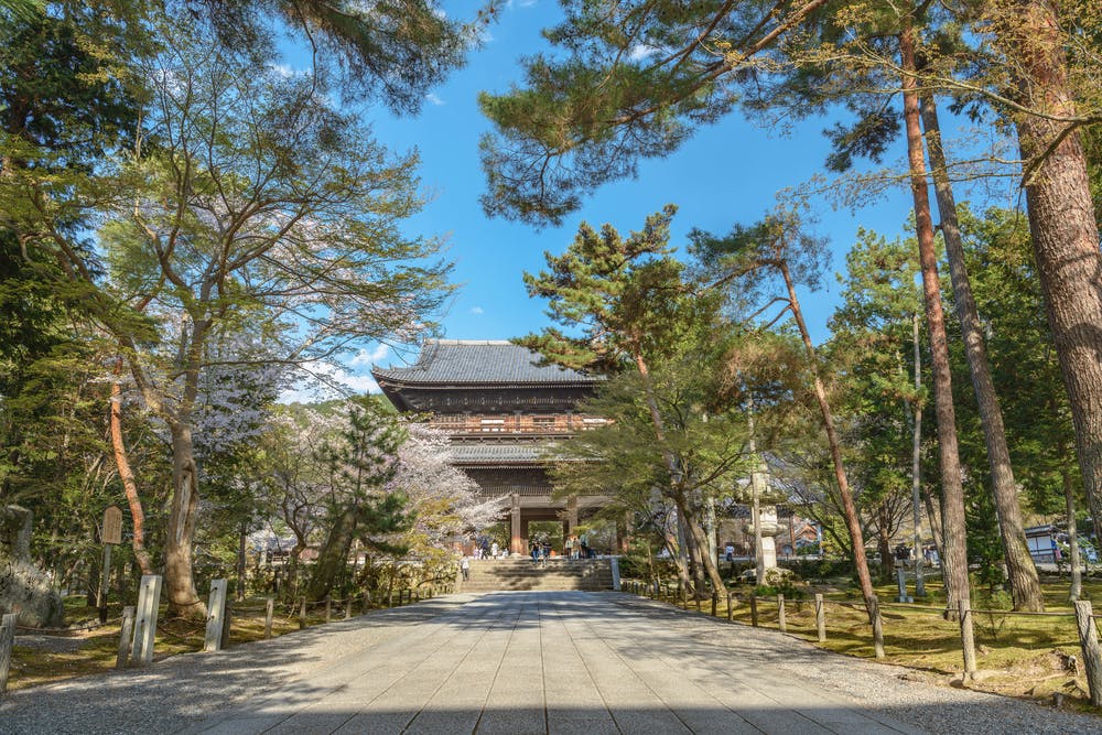 A serene pathway leads through lush greenery and blooming cherry blossoms to the entrance of a traditional wooden Japanese temple. The sky is clear and blue, enhancing the peaceful atmosphere.