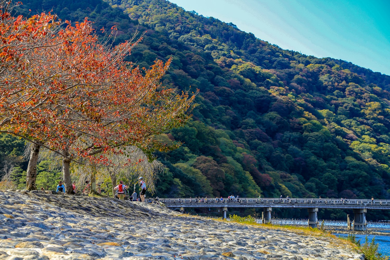 A scenic view of a riverside with a stone-covered bank and an autumn tree with red leaves. People are seen sitting under the tree and walking along a bridge that crosses the river. In the background, lush green hills stretch under a clear blue sky.