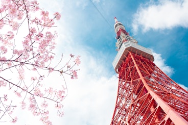 View of Tokyo tower and pink cherry blossom(sakura)