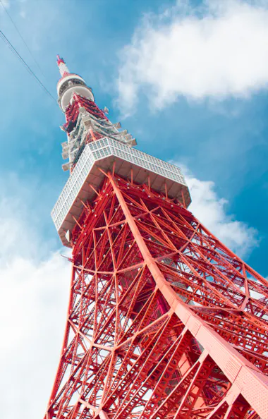 Tokyo Tower View of Tokyo tower and pink cherry blossom(sakura)