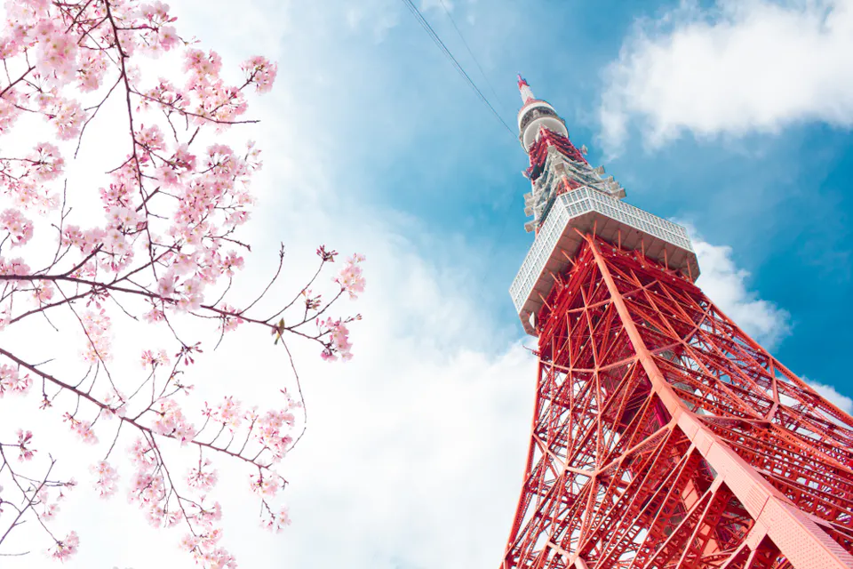 A low-angle shot of Tokyo Tower with its distinctive red and white structure, set against a bright blue sky. Blooming cherry blossoms frame the left side of the image, accentuating the spring atmosphere.