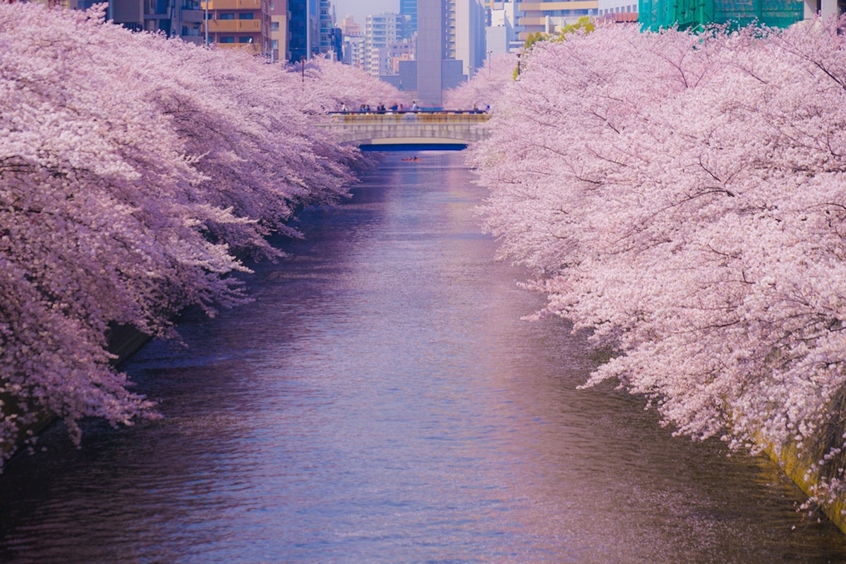 Meguro River