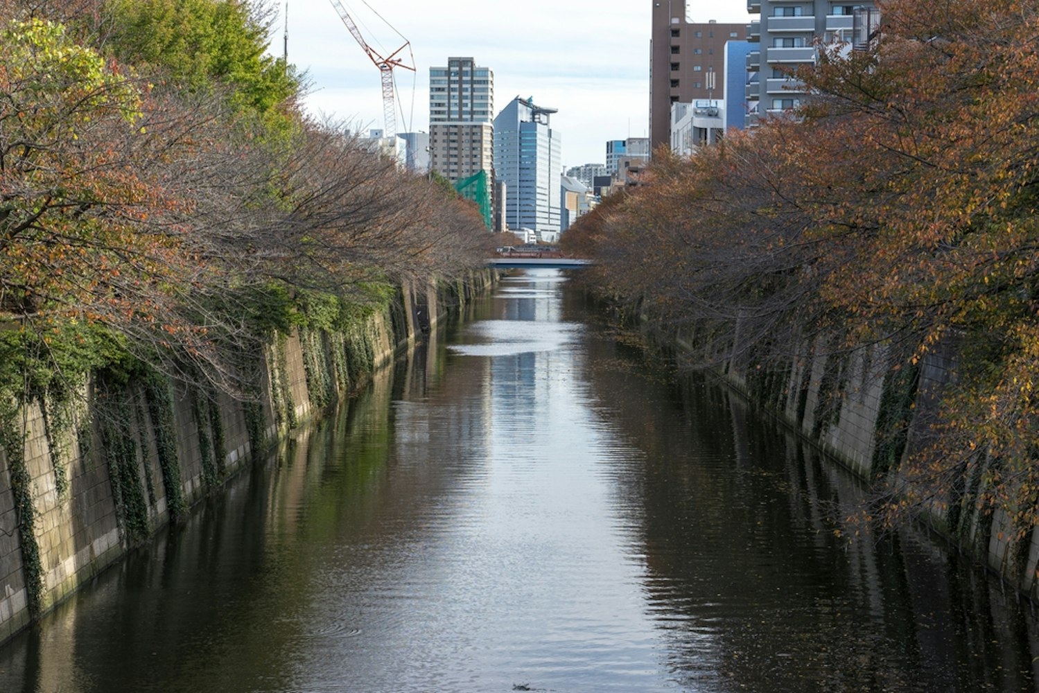 Meguro River