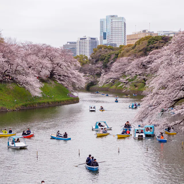 Meguro River Meguro River