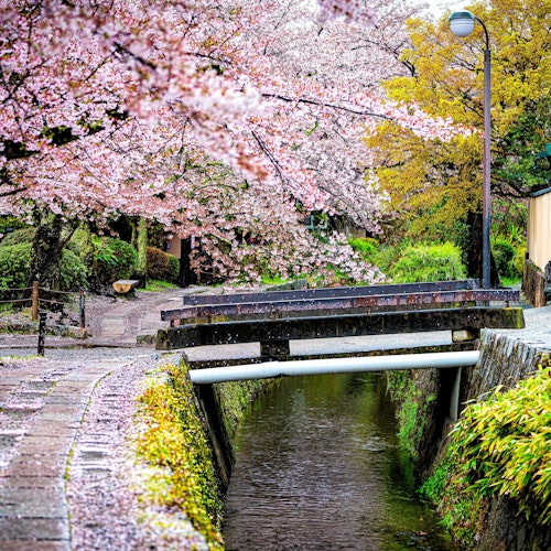 Philosopher’s Walk Path Philosopher’s Walk Path