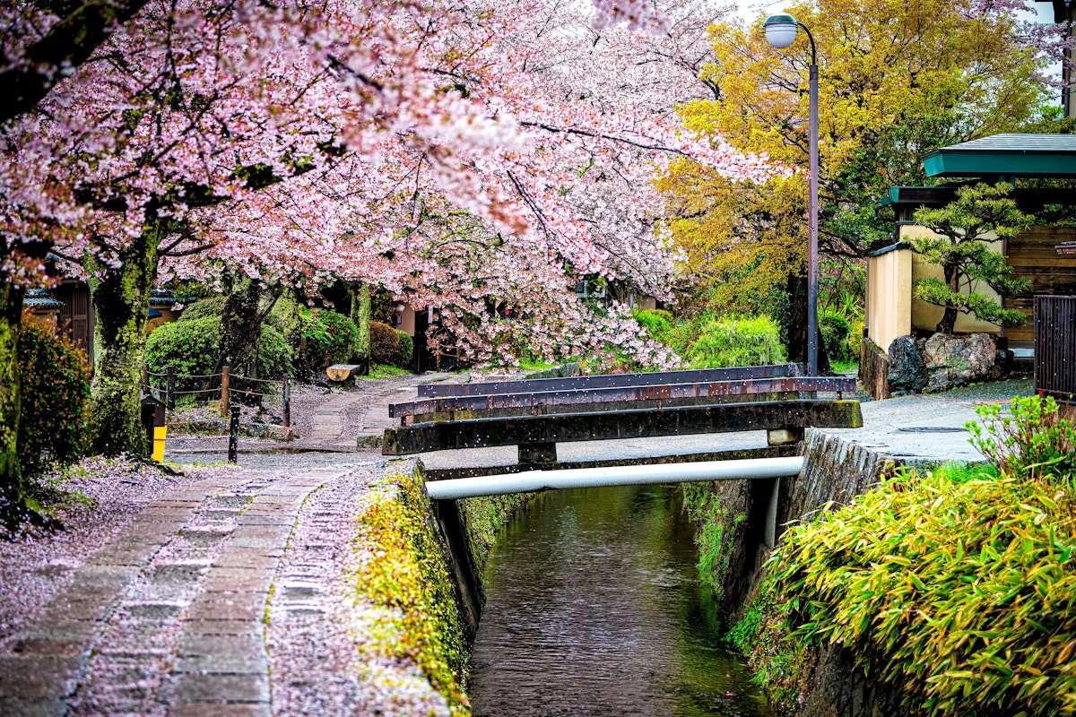 Philosopher’s Walk Path