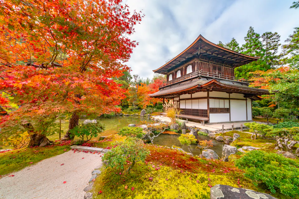 A traditional Japanese temple, surrounded by vibrant red and orange autumn foliage, stands beside a serene pond. The garden features lush greenery, stone pathways, and meticulously maintained shrubs, creating a tranquil and picturesque scene.