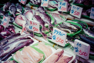 Tsukiji Fish Market