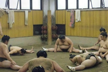 Sumo Morning Practice Tour