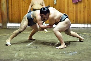 Sumo Morning Practice Tour