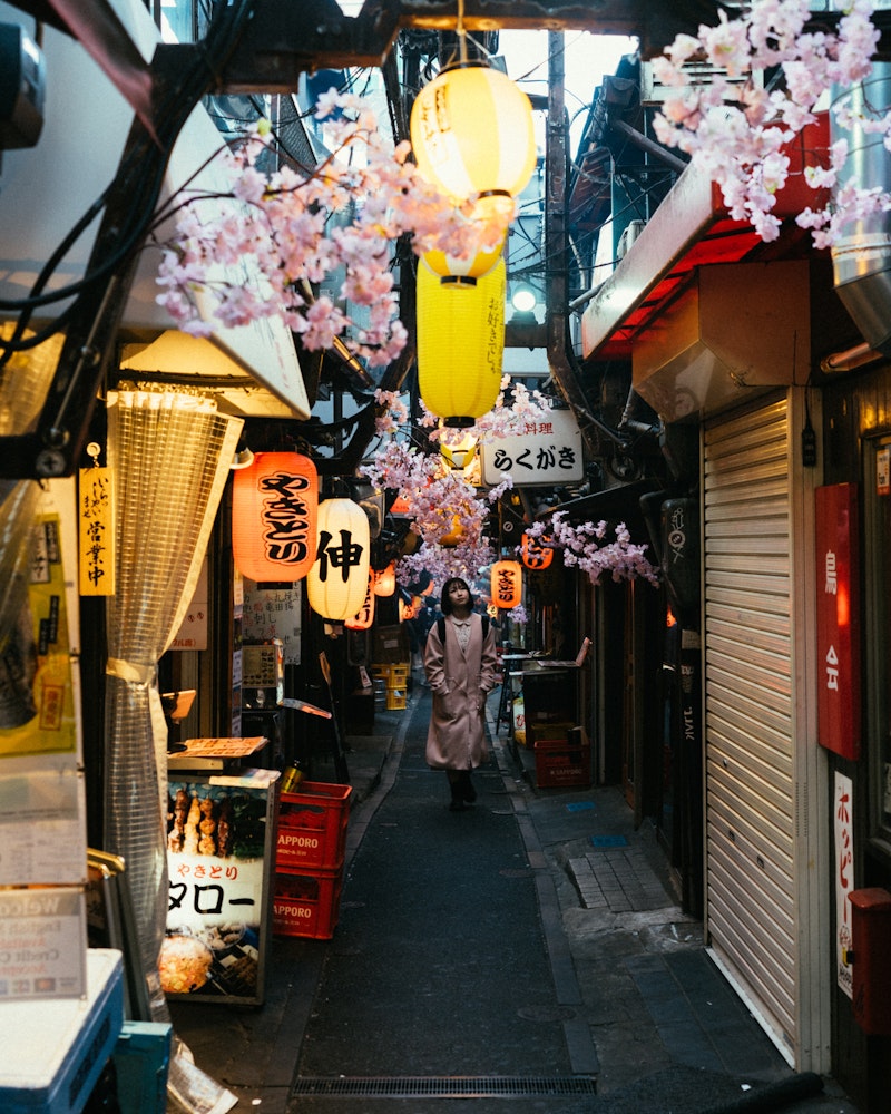 Omoide Yokocho