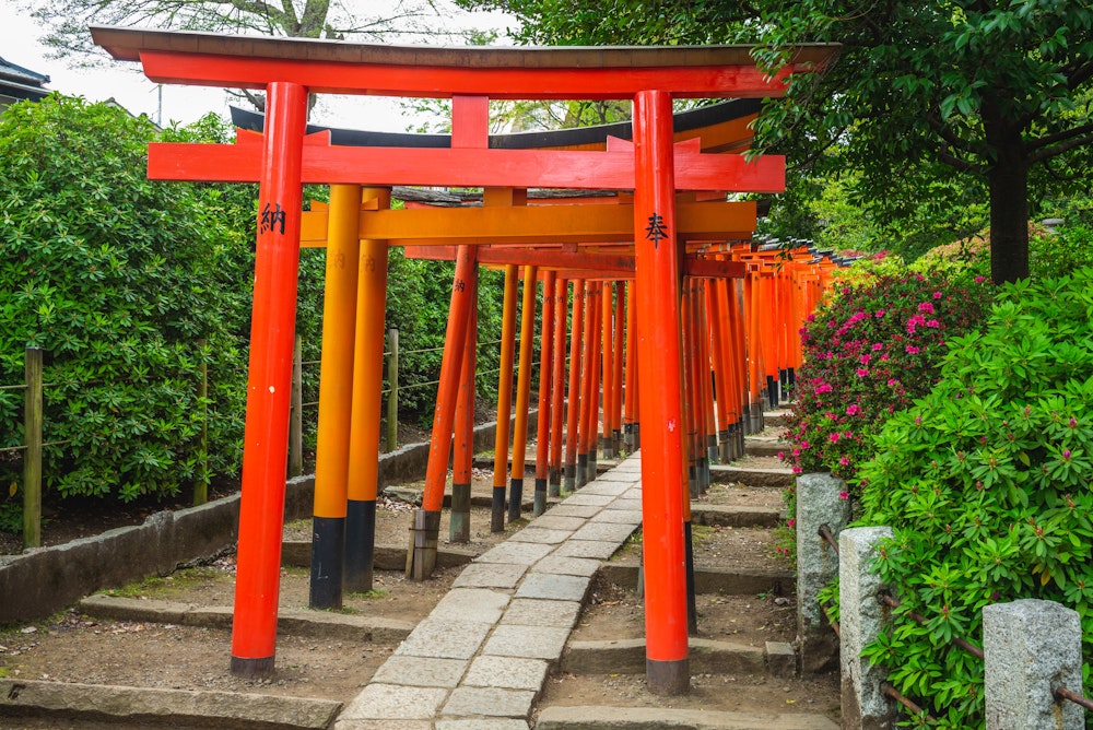 Nezu Shrine