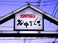 Yanaka Ginza