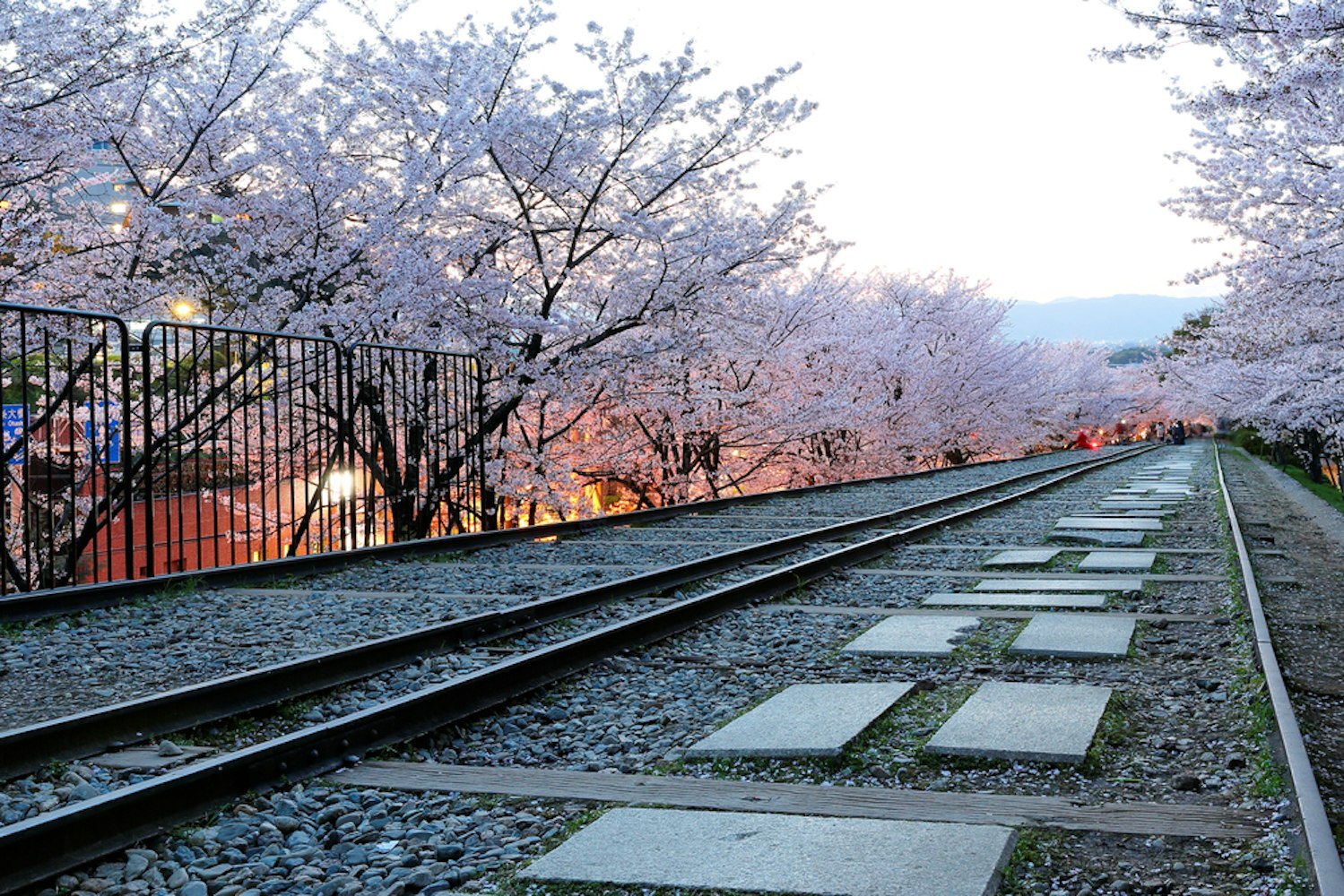 Kyoto Imperial Palace