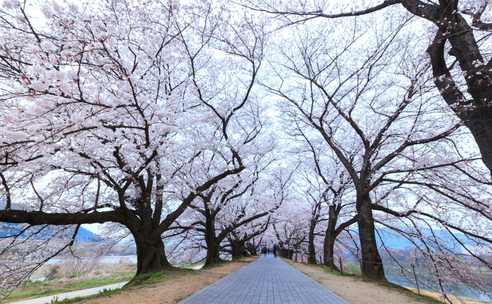 Yodogawa Riverside Park