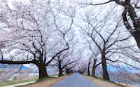Yodogawa Riverside Park