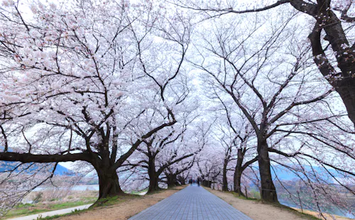 Yodogawa Riverside Park
