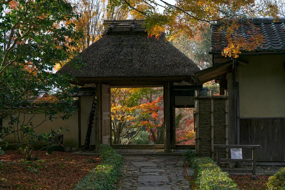 A traditional Japanese garden entrance with a thatched-roof gate, surrounded by autumn foliage. The path leading to the gate is lined with green shrubs, while vibrant red and orange leaves frame the scene, creating a serene and picturesque setting.