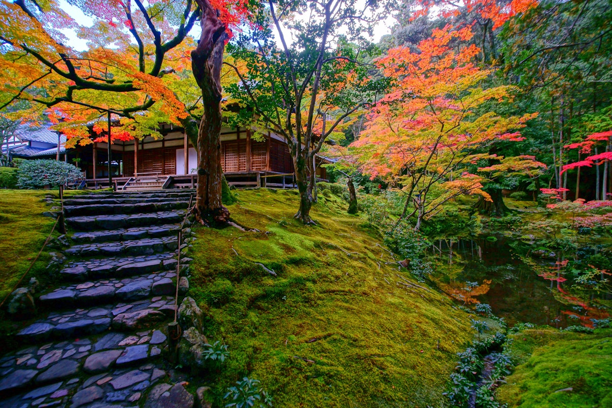Koke-dera (Moss Temple) A serene Japanese garden in autumn with a traditional wooden building in the background. Stone steps lead up a moss-covered slope surrounded by vibrant red, orange, and yellow foliage. A tranquil pond reflects the colorful trees nearby.