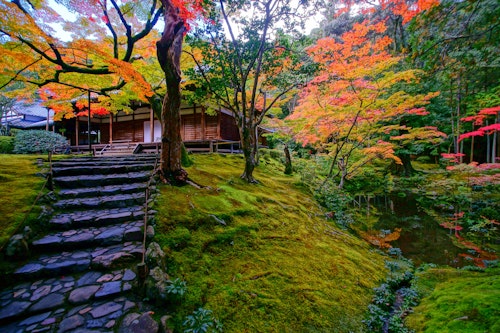 Koke-dera (Moss Temple)