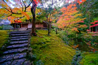 A serene Japanese garden in autumn with a traditional wooden building in the background. Stone steps lead up a moss-covered slope surrounded by vibrant red, orange, and yellow foliage. A tranquil pond reflects the colorful trees nearby.