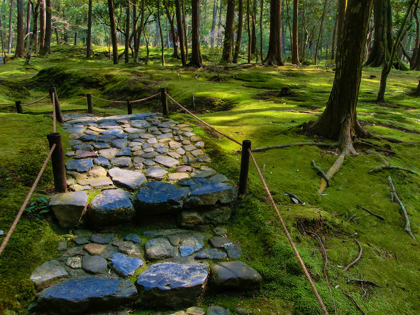 緑の苔に覆われた密林の中を石の道が段々になって曲がりくねっている。道の両側にはロープでつながれた木製の支柱が並んでいる。細い幹を持つ高い木々が道を囲み、その上の葉の間から日光の斑点がこぼれ落ちている。