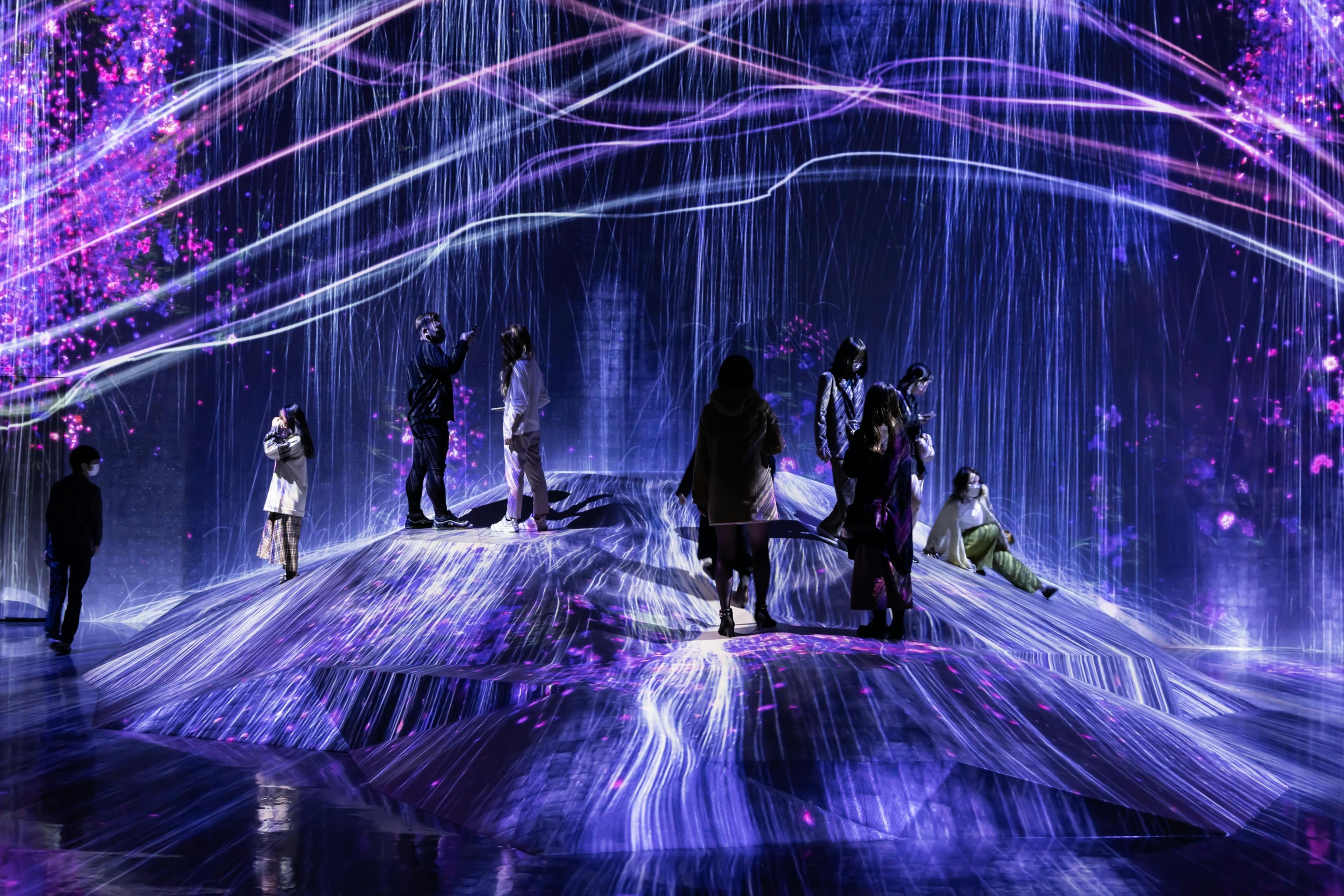 TeamLab Borderless