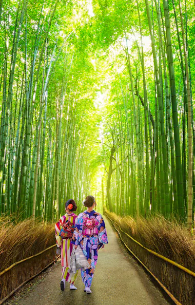 Kyoto Kyoto
