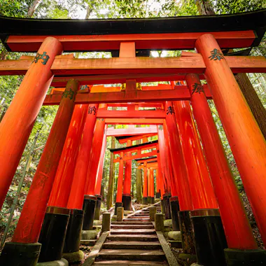 Kyoto Kyoto